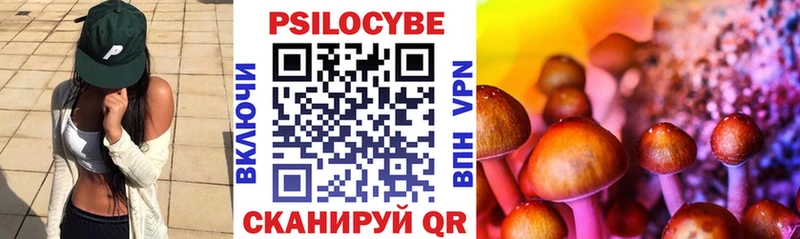 Псилоцибиновые грибы Psilocybine cubensis  где продают наркотики  Вилючинск 